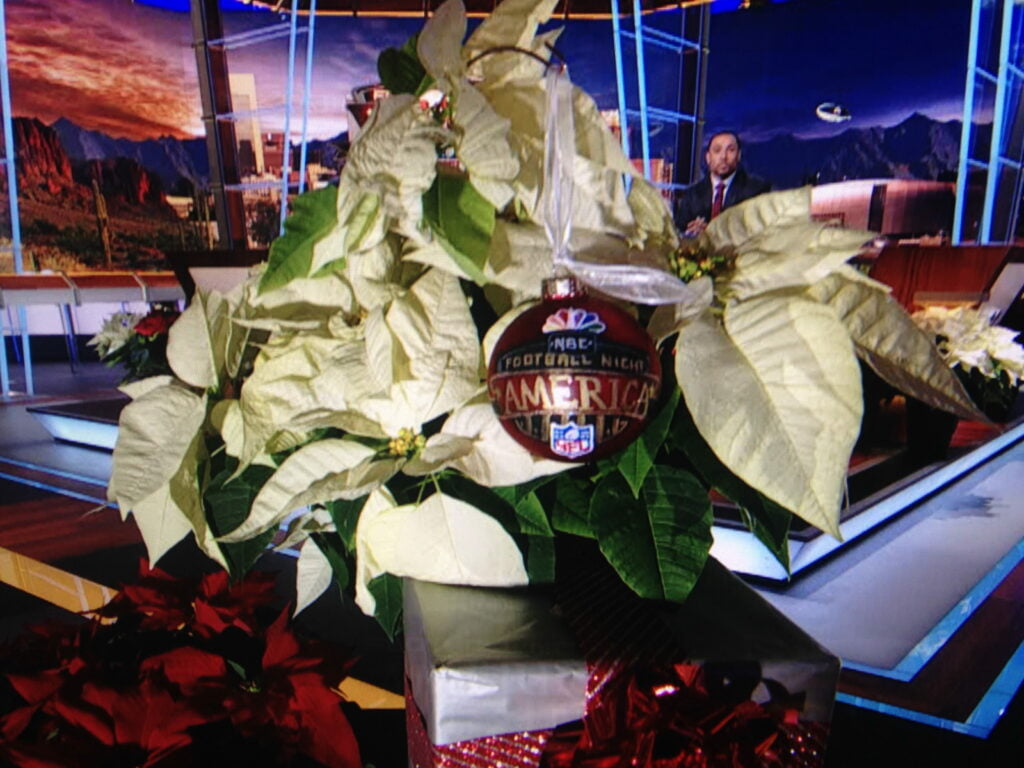 Featured Christmas Ornament On Nbc